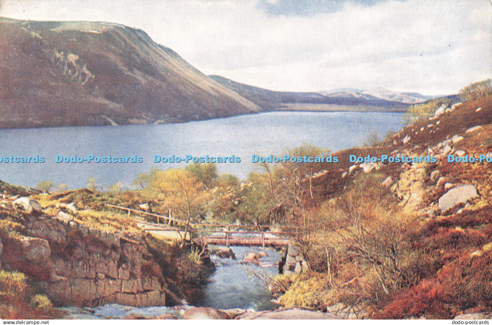 D251632 Aberdeenshire Loch Muick Scots Pictorial Series