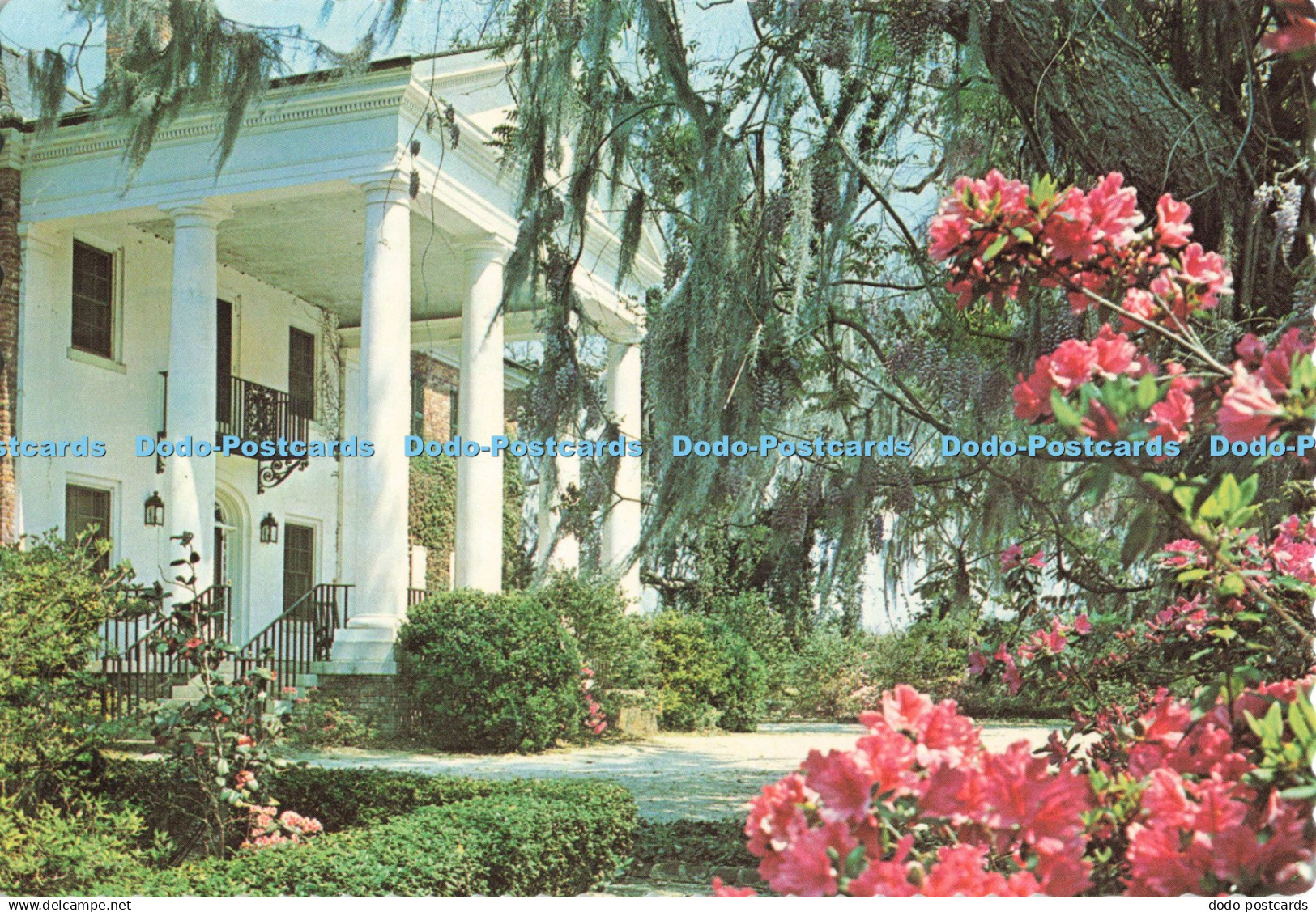D252141 S C Near Charleston Boone Hall Plantation Charleston Post Card Ernest Fe