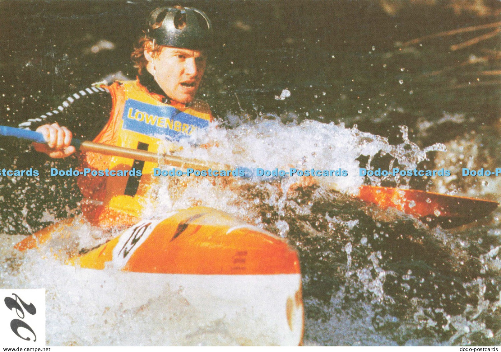 D252335 Fifty Fotos Camera Weekly and Laskys