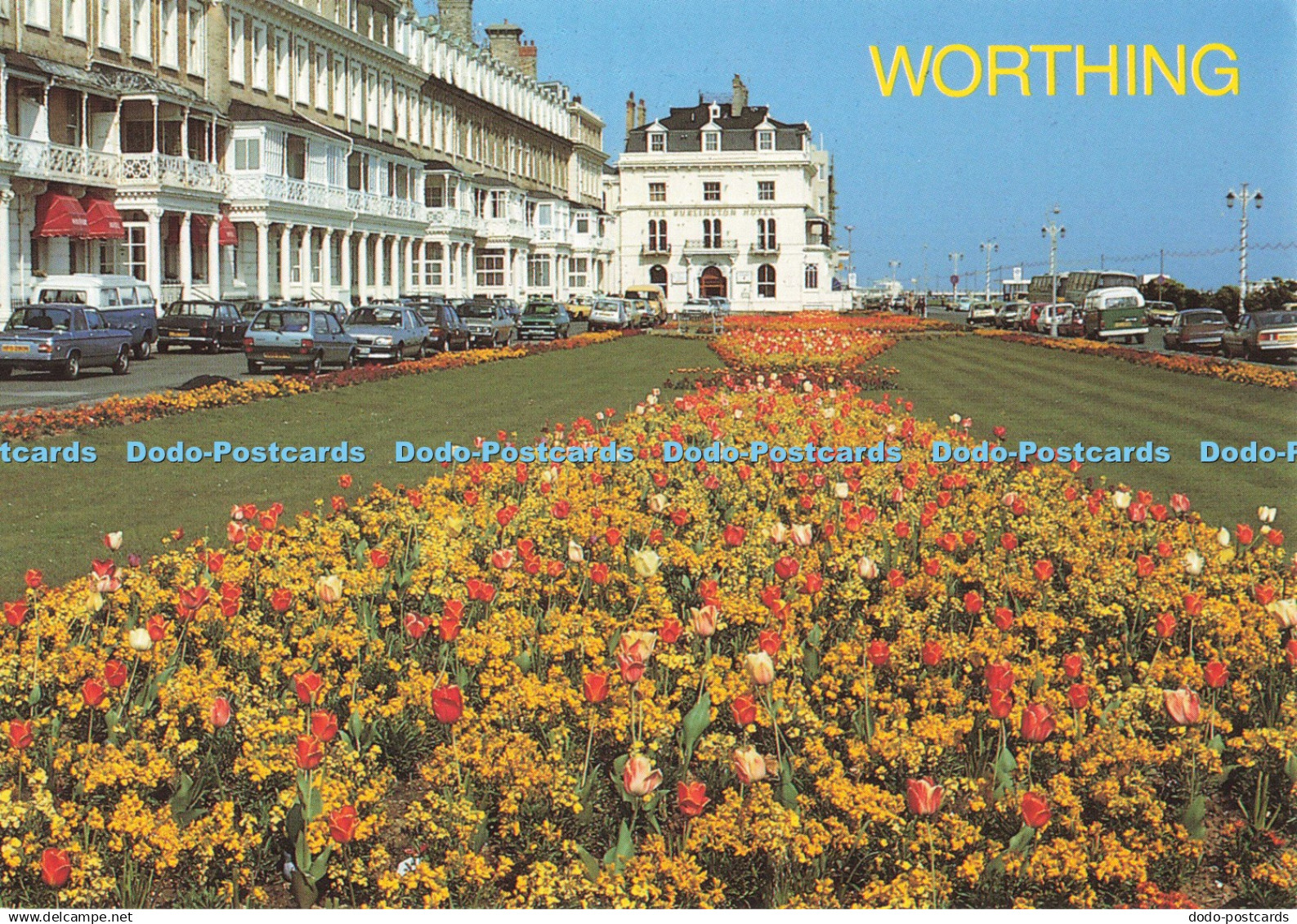 D252436 Worthing Janon