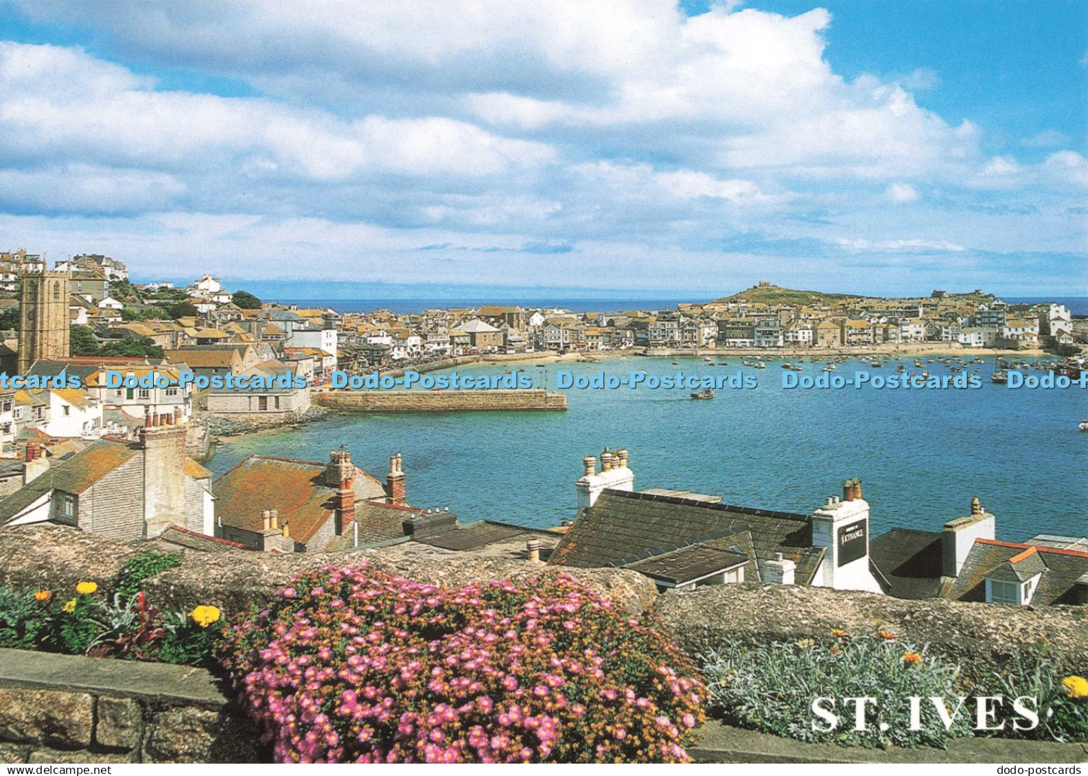 D253186 St Ives J Salmon