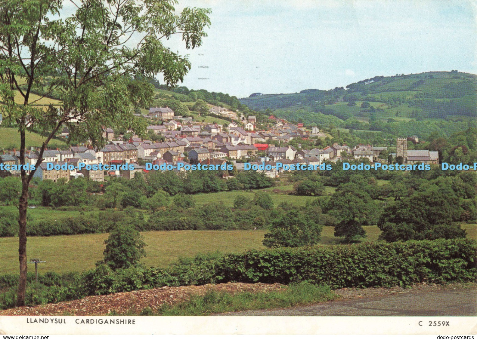 D253332 Cardiganshire Llandysul Judges C 2559 X 1976