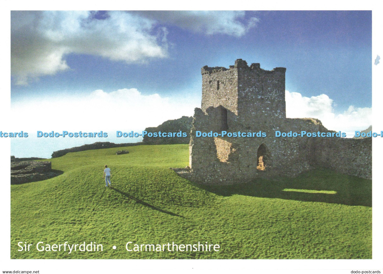D253789 Carmarthenshire Sir Gaerfyrddin