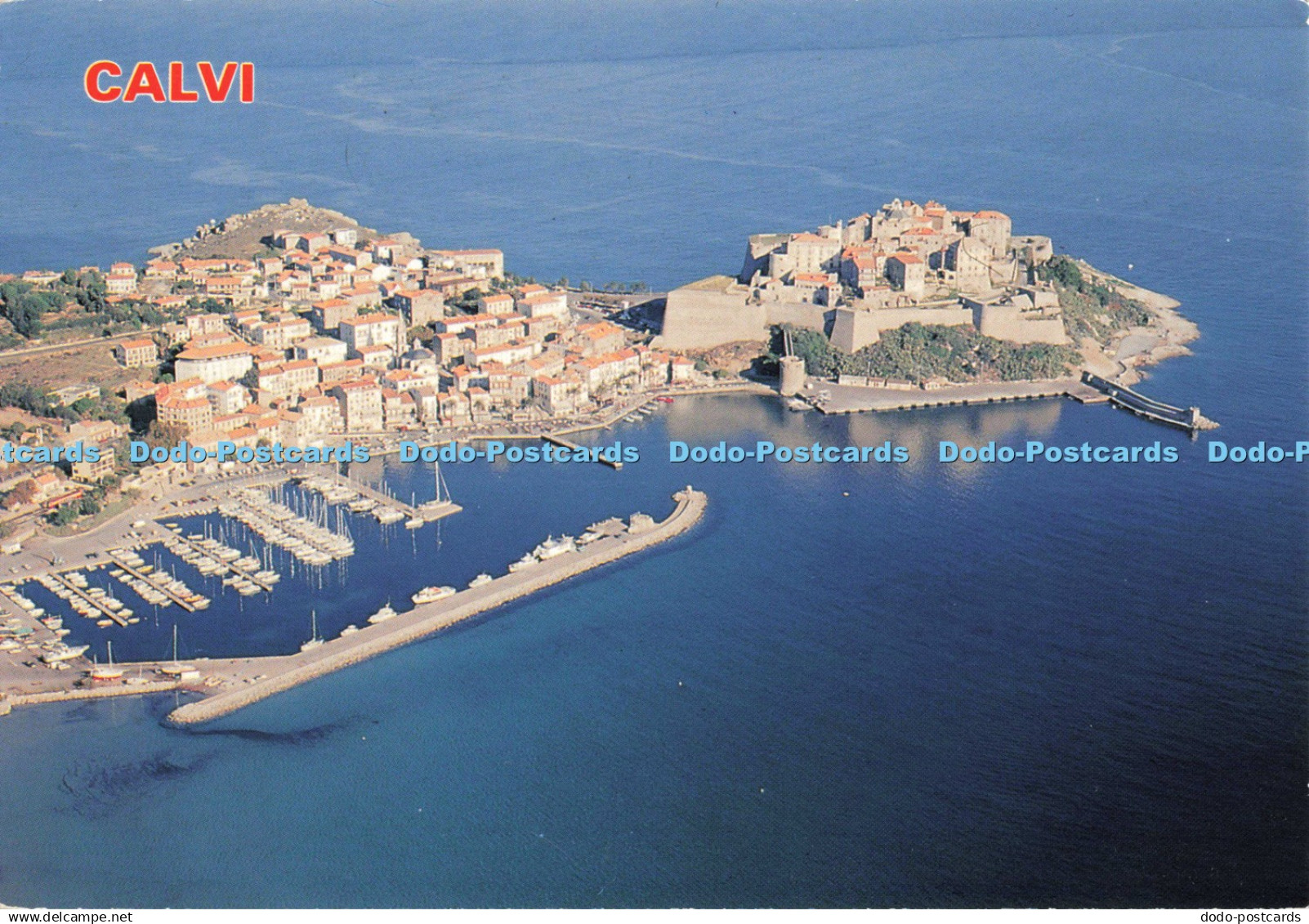 D256331 Calvi U Segnu