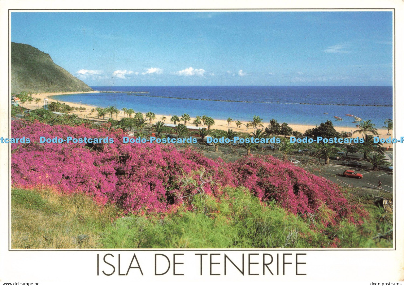 D257146 Isla de Tenerife Matices