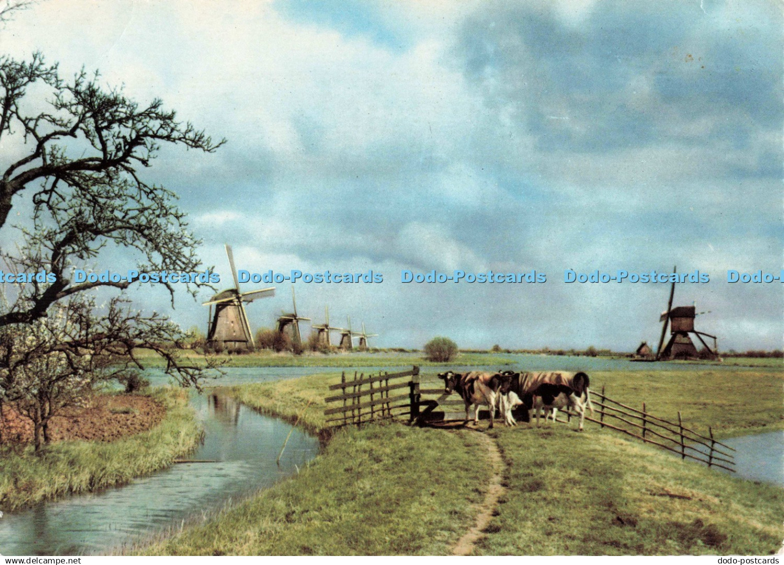 D258160 Holland Kinderdijk De Muinck