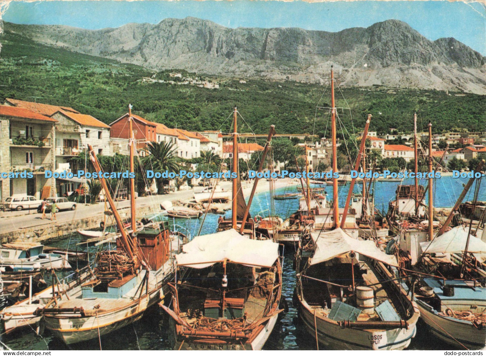 D258675 Podgora Zadruzna Stampa