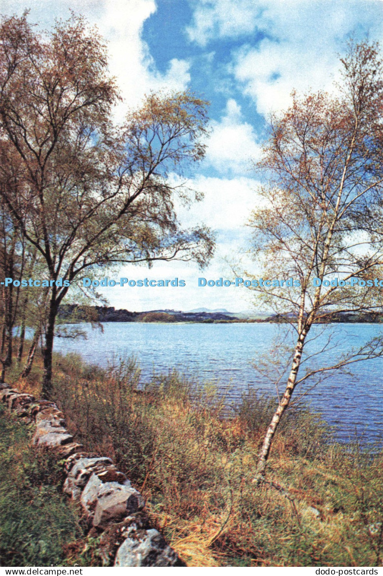 D259439 Kirkcudbrightshire Loch Ken New Galloway J Arthur Dixon Ltd