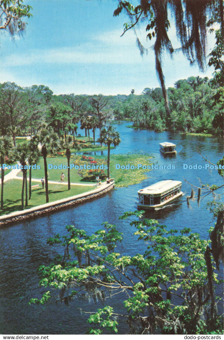 D259662 Beautiful Silver River at Florida Silver Springs Dukane Scenics