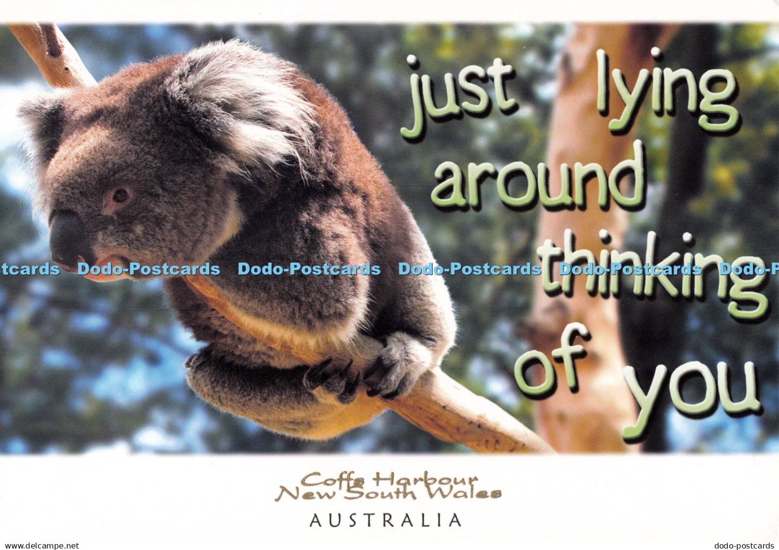 D260025 Australia Coffs Harbour New South Wales Murray Views Hanjo Smith