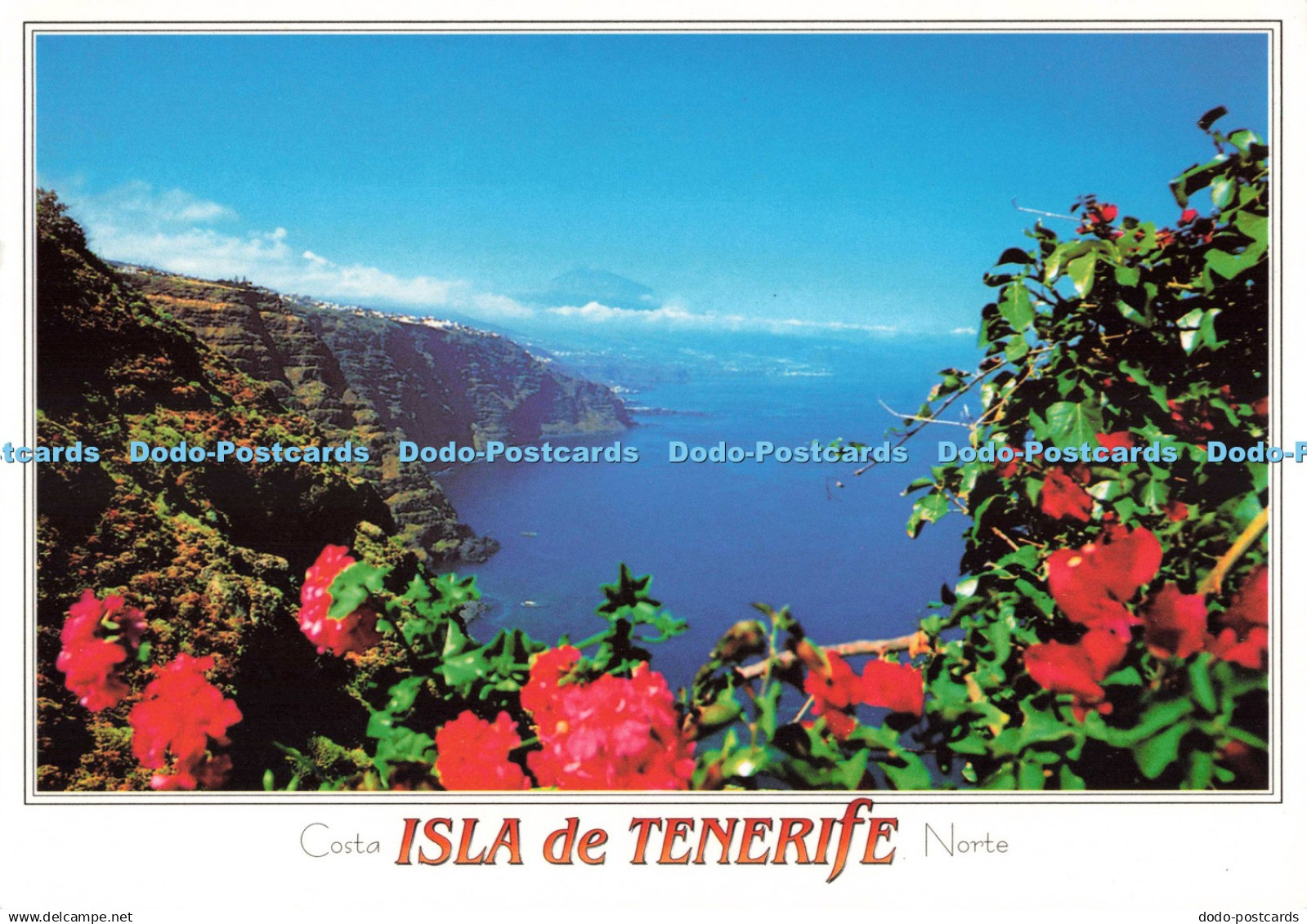 D260374 Costa Isla de Tenerife Norte Mesa del Mar Graficas Tenerife S A SOFOTO