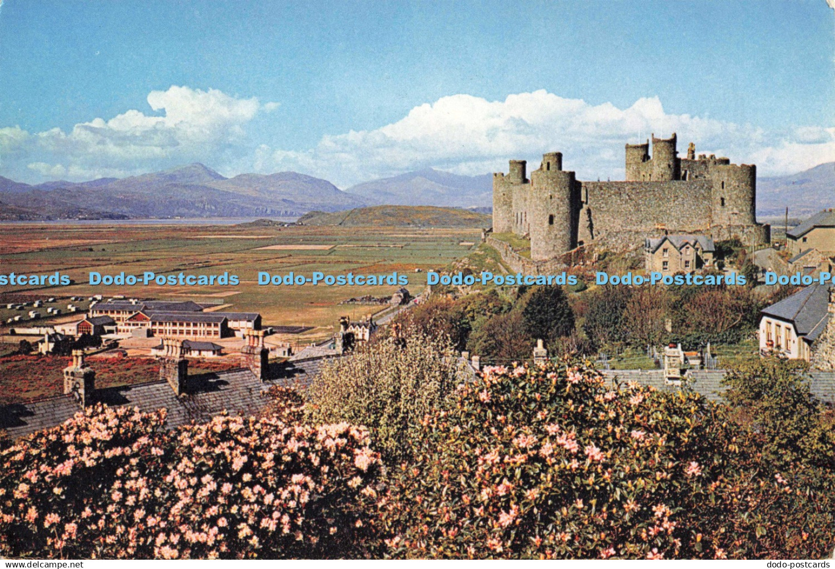 D261763 Merionethshire Harlech Castle J Arthur Dixon