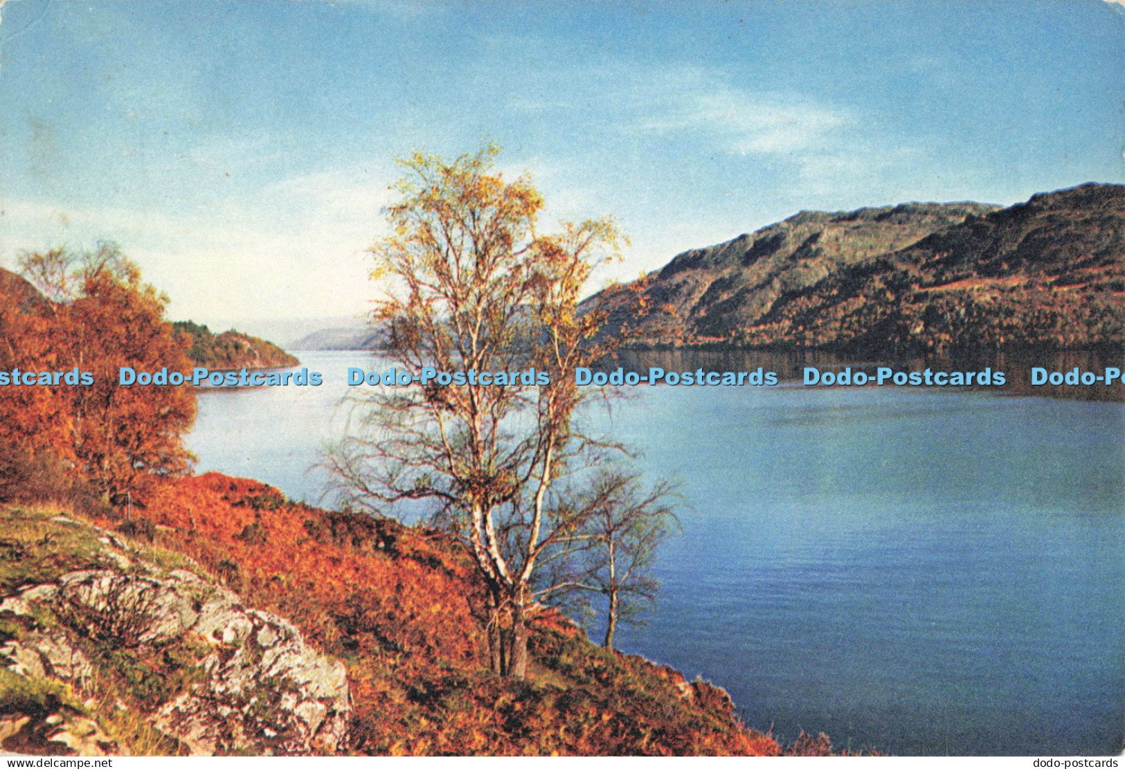 D263257 Inverness Shire Loch Ness J Arthur Dixon