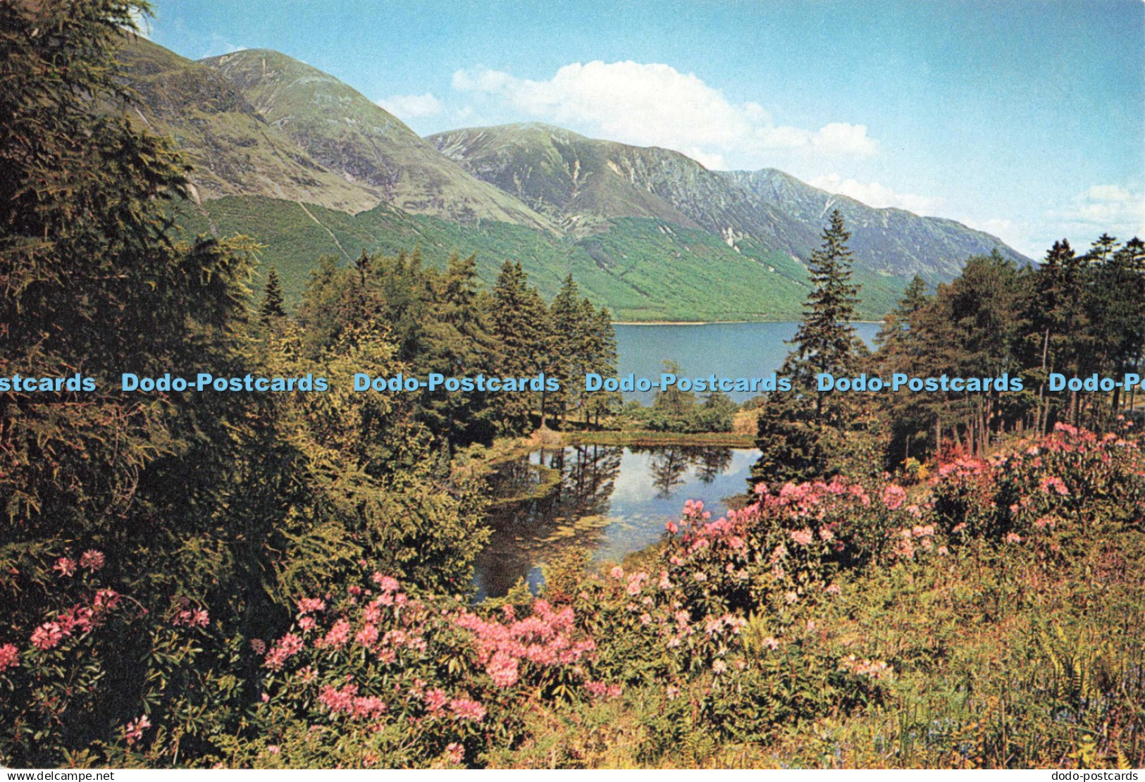 D263260 Inverness Shire Loch Lochy J Arthur Dixon