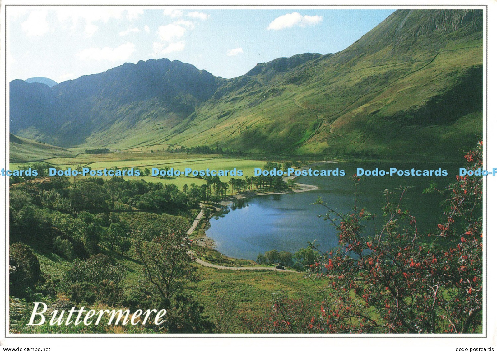 D263510 Buttermere Whiteholme Scotland in Focus