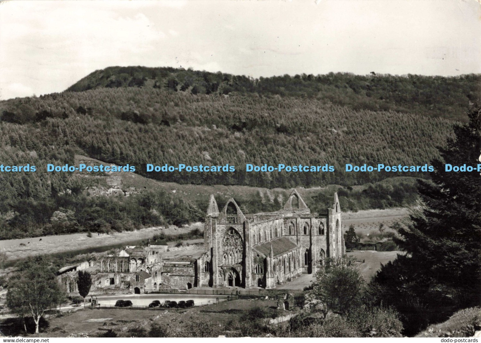 D265086 Monmouthshire TinternAbbey General View from S W Crown 1973