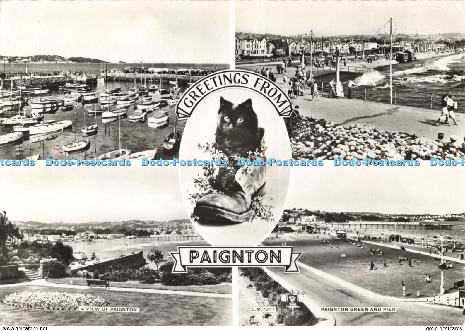 D265456 Greetings from Paignton A View of Paignton Paignton Green and Pier Thund