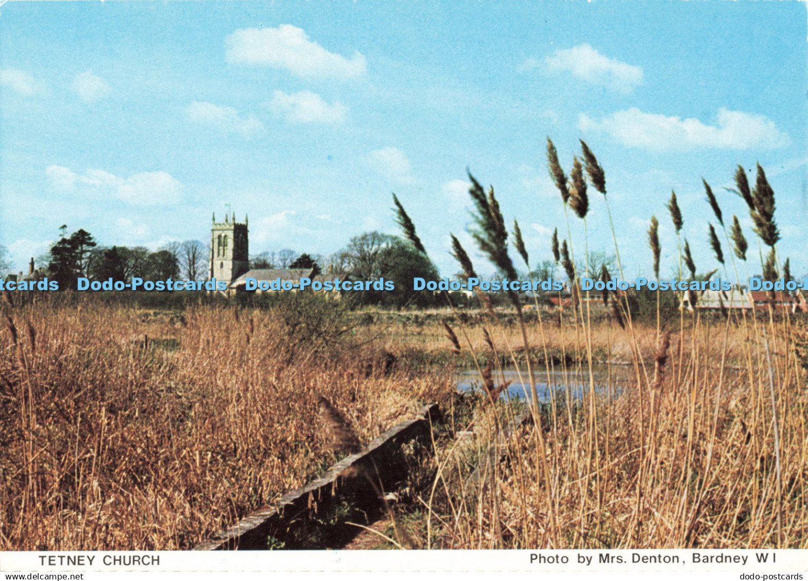 D266003 Tetney Church Lincolnshire North Lincolnshire South and Humberside Feder