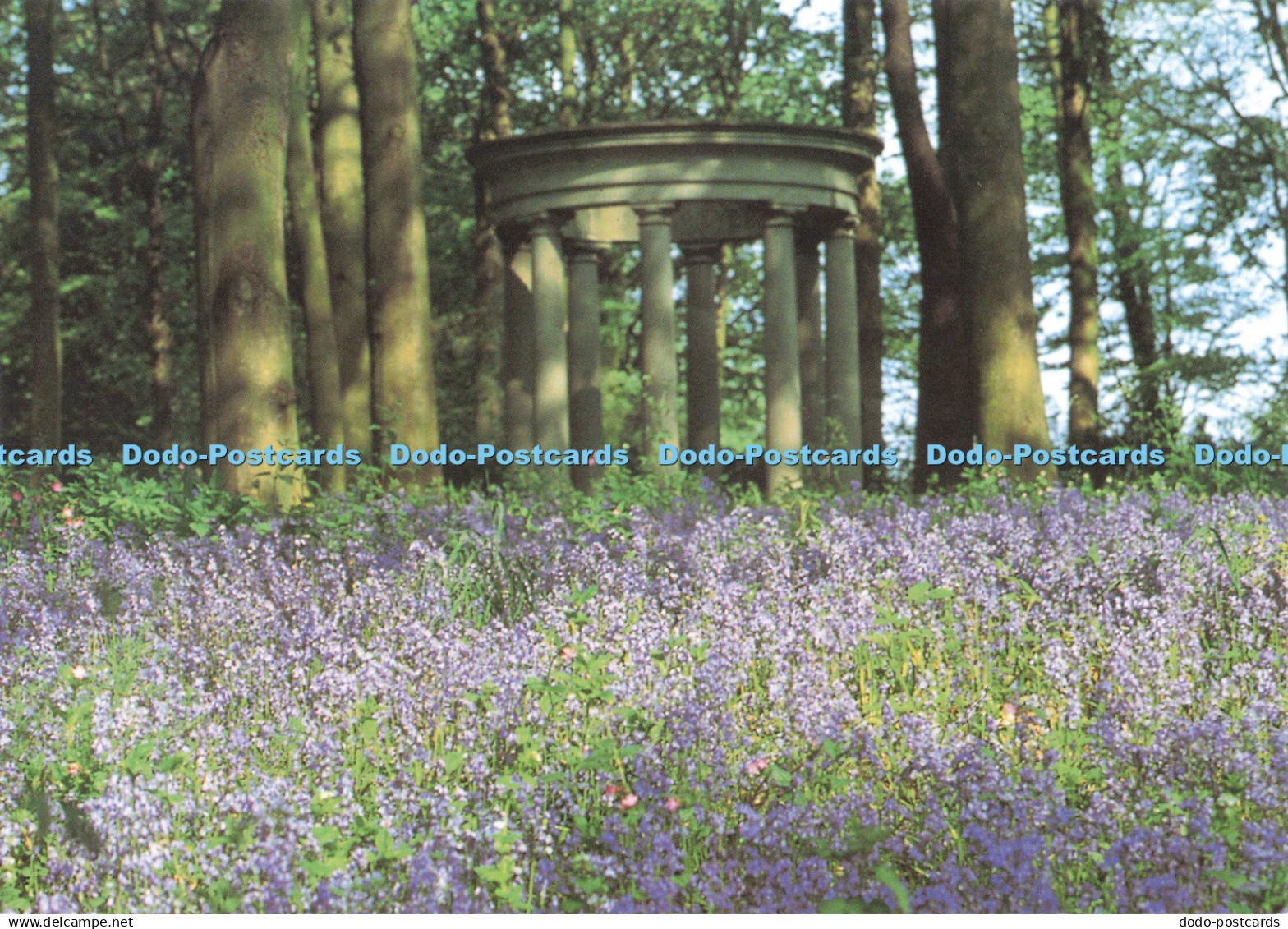 D266220 Derbyshire Renishaw Hall The Wilderness The Classical Temple Sitwell Col