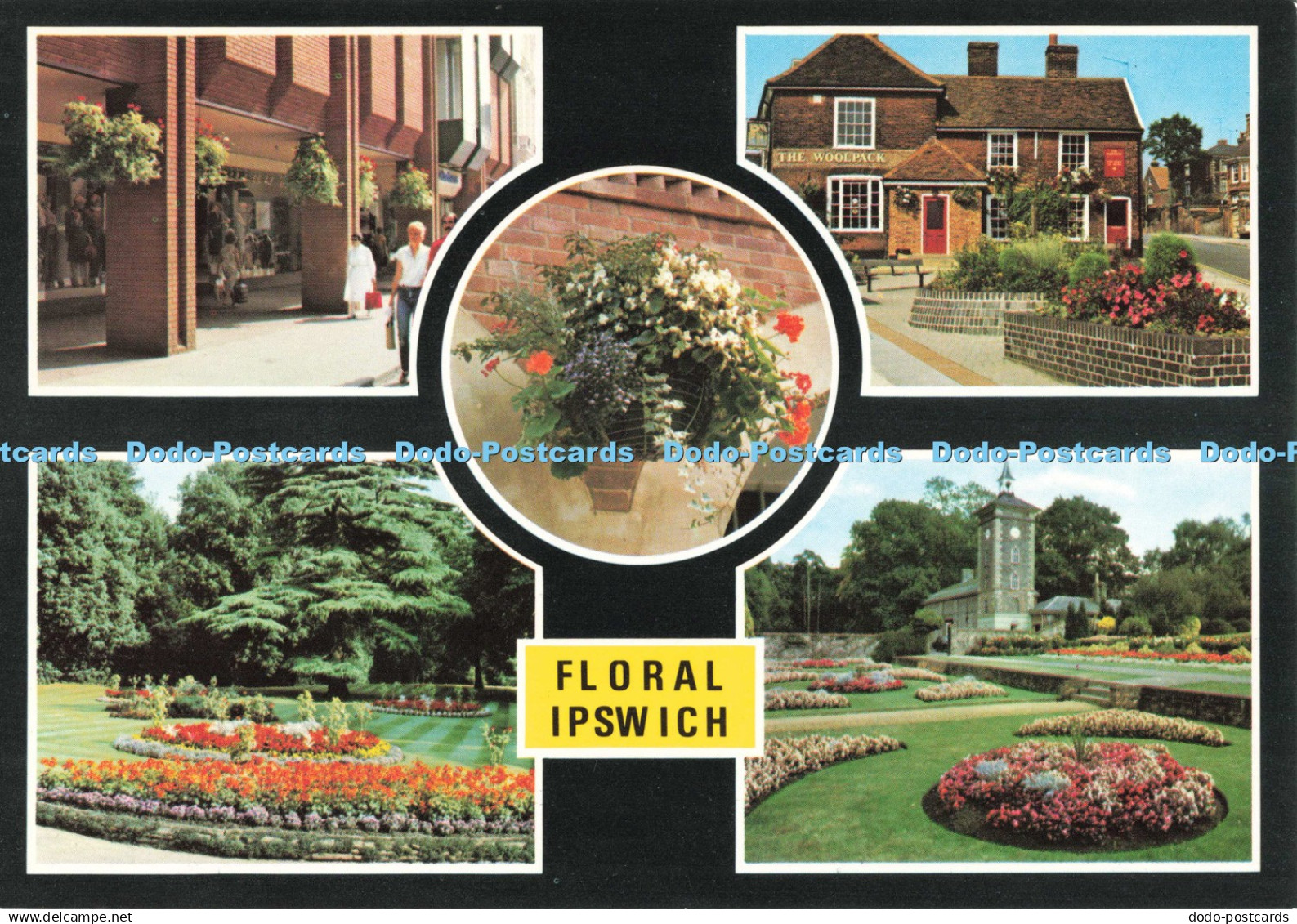 D266239 Floral Ipswich Town Centre Upper Aboretum Ipswich Borough Council Multi