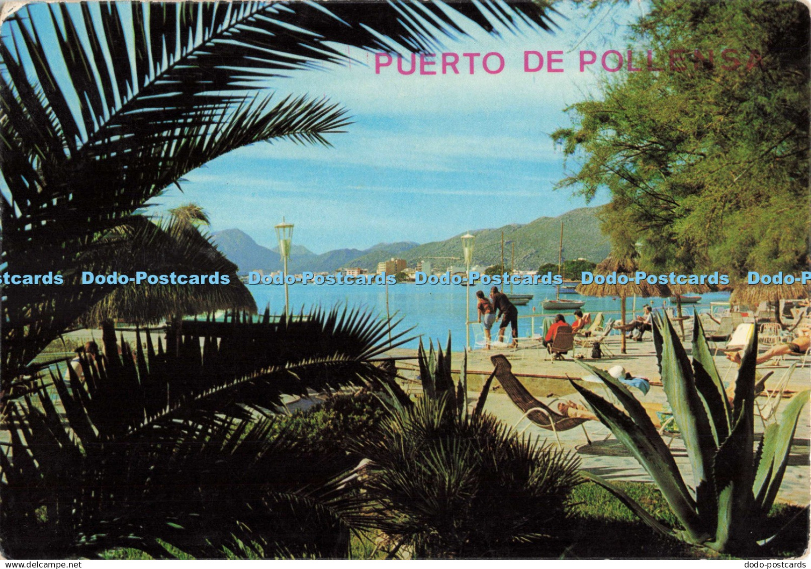 D266394 Mallorca Puerto de Pollensa Fotos y Realizacion 1981