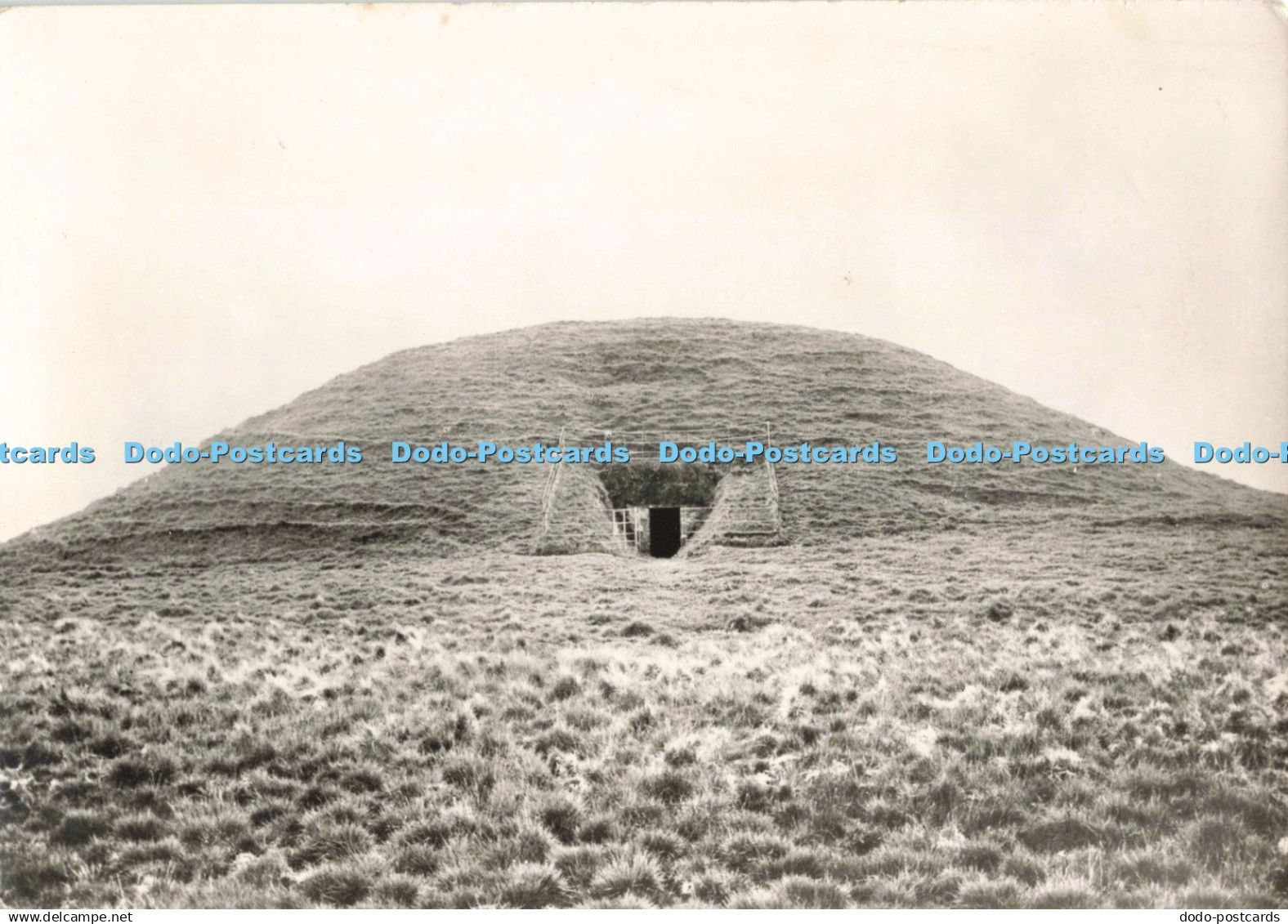 D267479 Orkney Mainland Maeshowe Crown