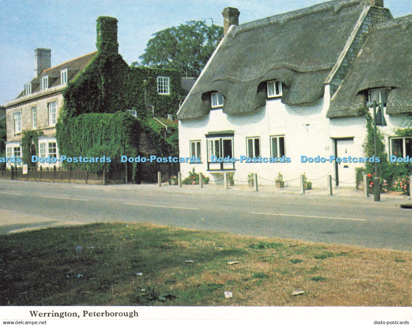 D268135 Werrington Peterborough Postcard