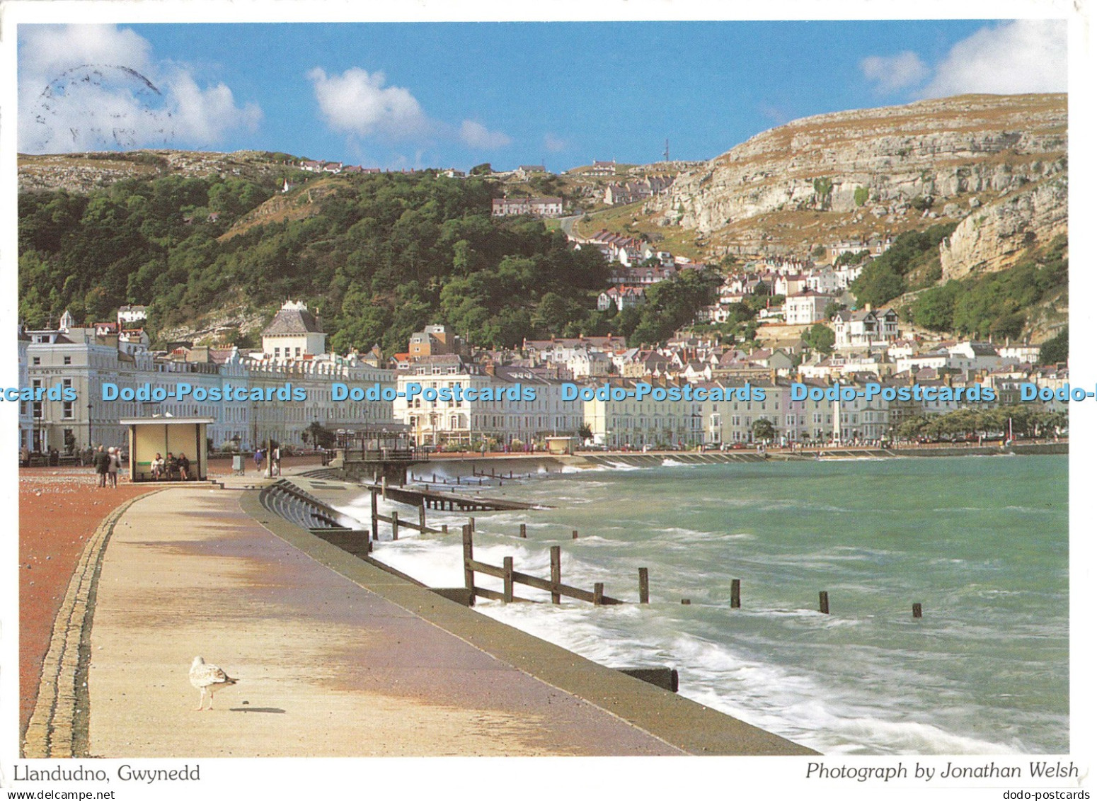 D269085 Llandudno Gwynedd Judges Jonathan Welsh