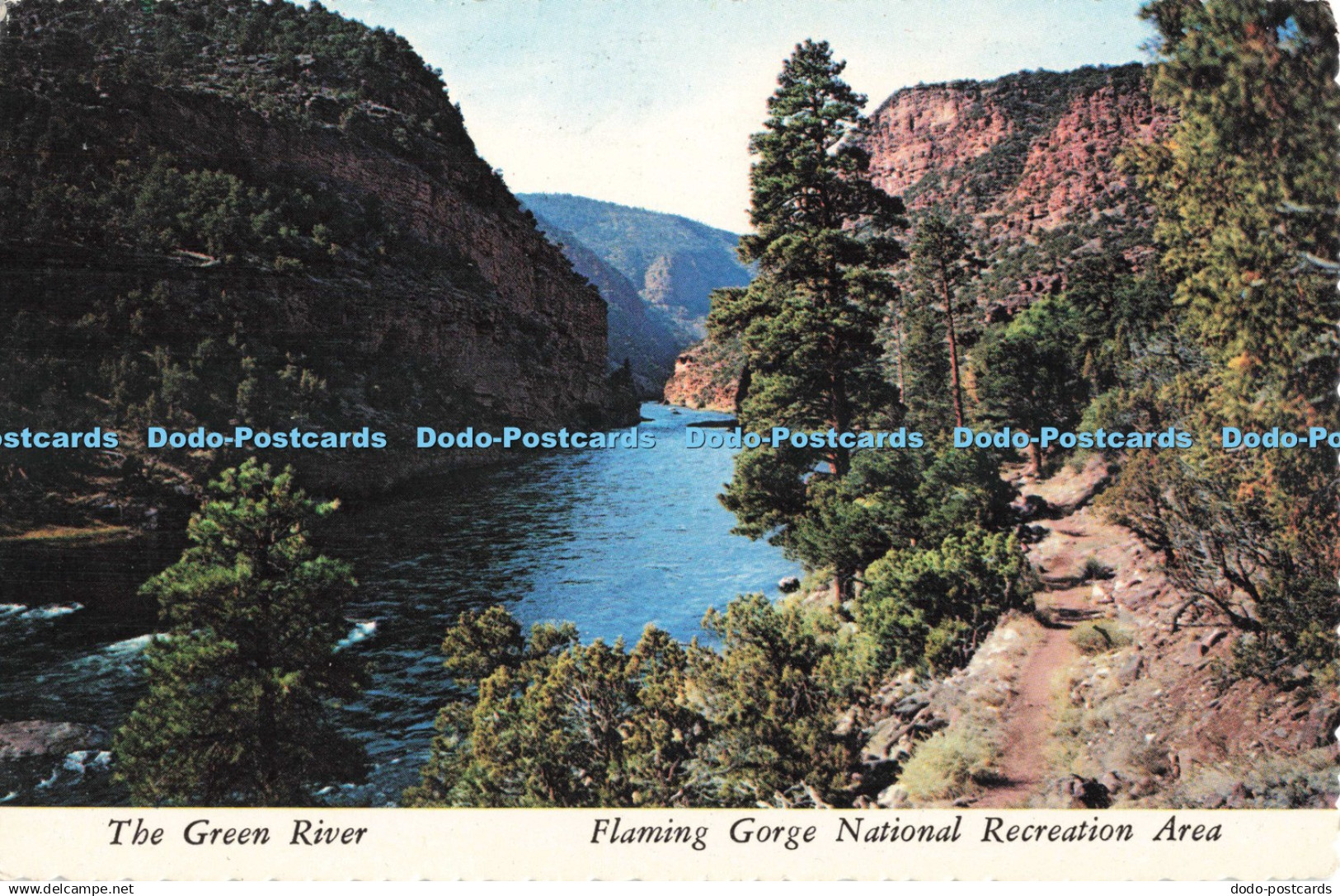 D270598 The Green River Flaming Gorge National Recreation Area George Mc Company