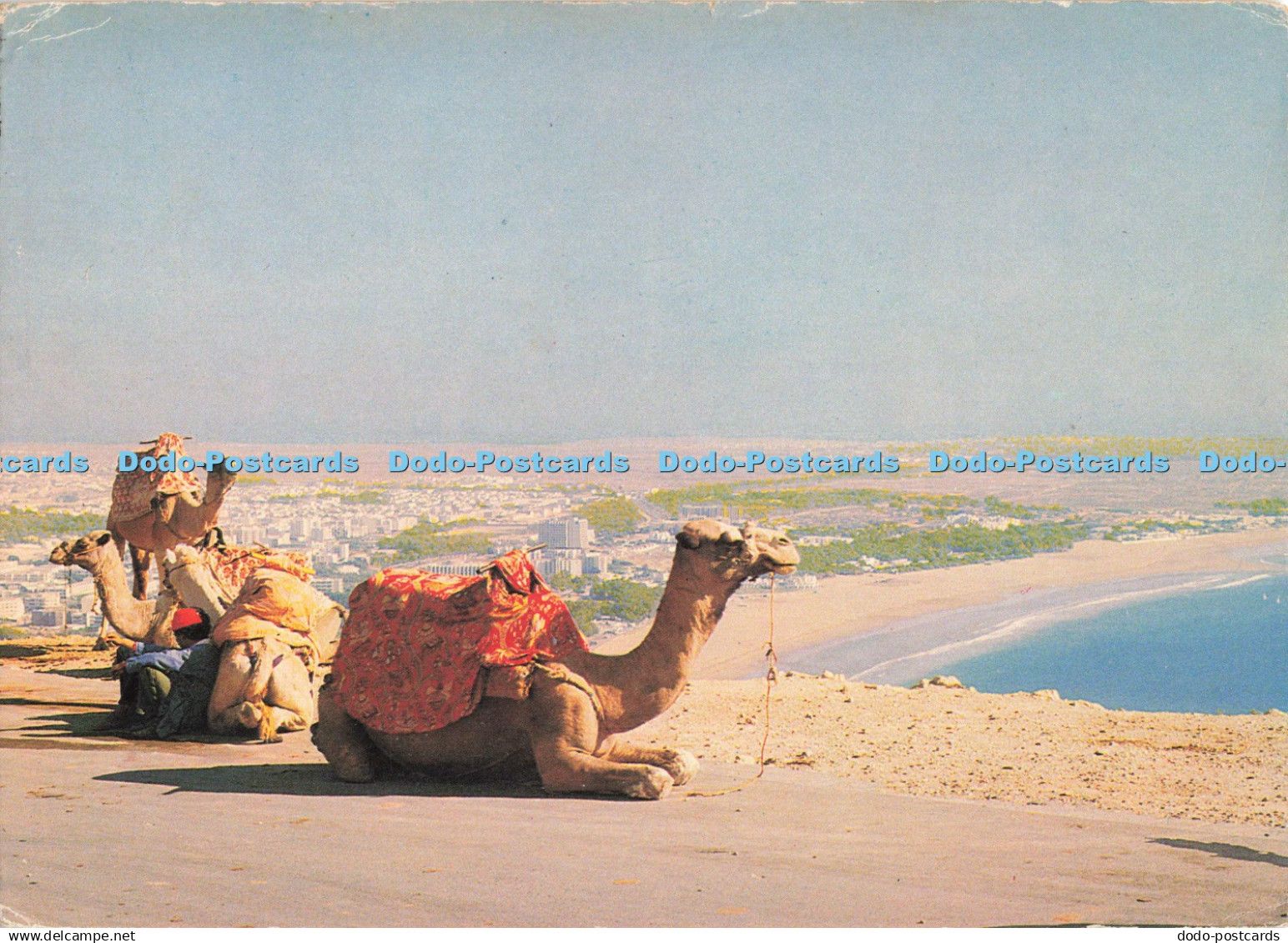 D270741 Agadir Panoramical View of the Agadir Hay Casa Images Ryger
