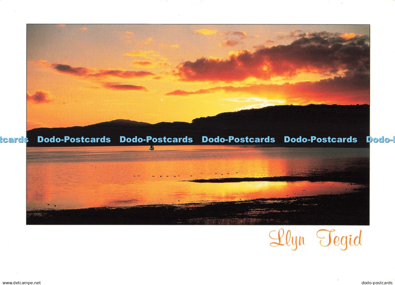 D270833 Llyn Tegid Bala Lake Merionethshire Judges C 19860 David Toase