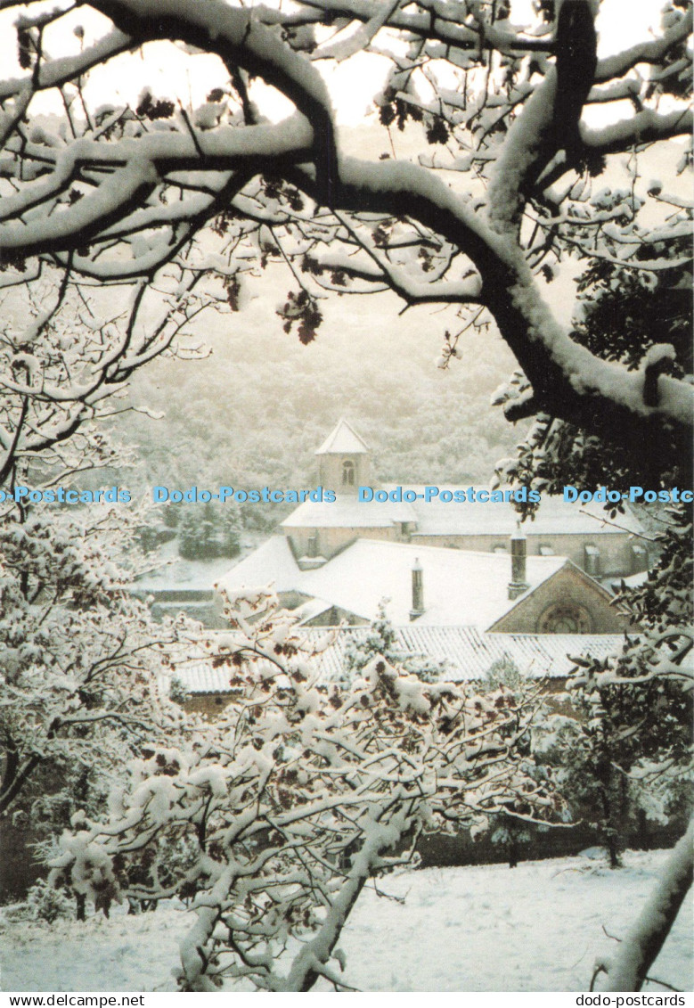 D271404 Abbaye de Senanque Gordes Gaud