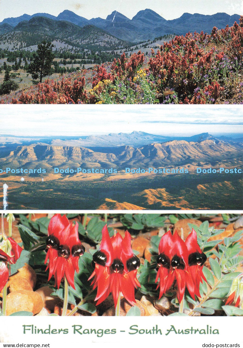 D271512 South Australia Flinders Ranges Visit Gallery Multi View