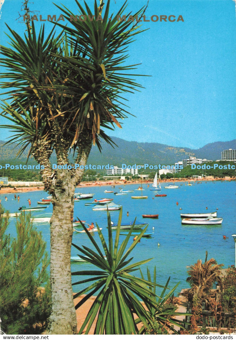 D272110 Mallorca Palmanova Hoteles Malborquines Icaria