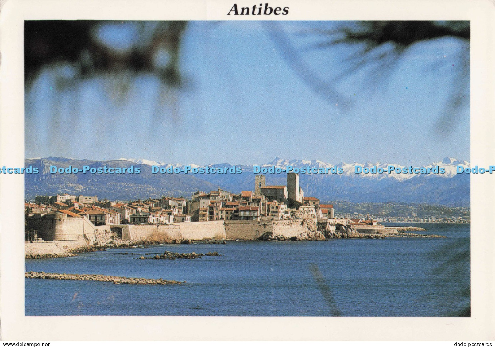 D273205 Antibes La Vieille Ville et ses Remparts M S C Cartes