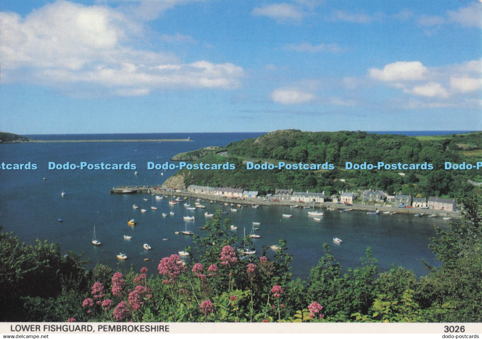 D273223 Pembrokeshire Lower Fishguard Pembrokeshire Eye Postcards 1994