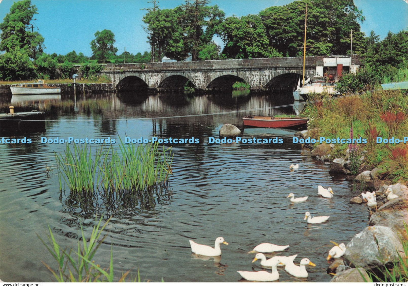 D273536 Co Leitrim The River Shannon at Jamestown