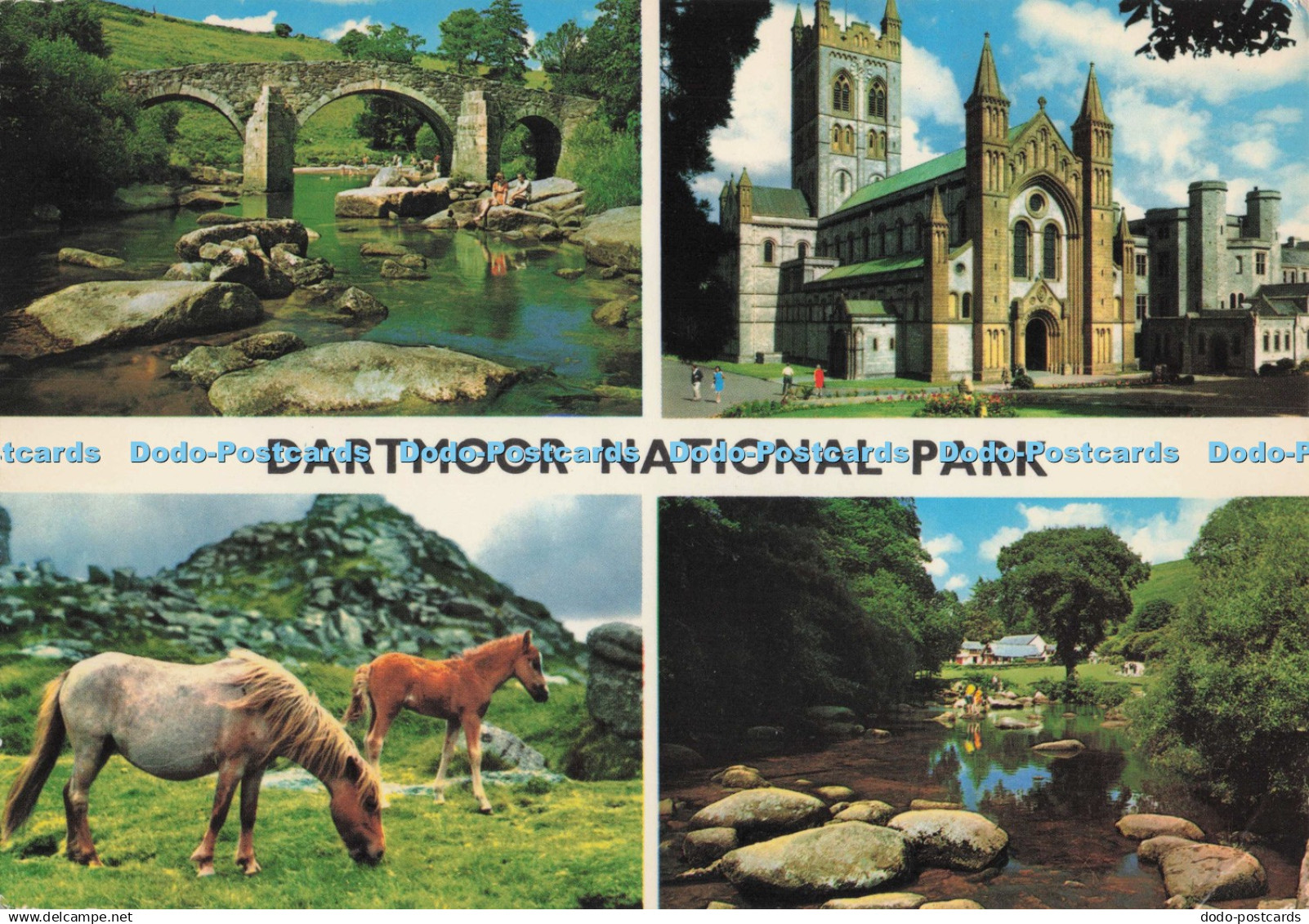 D274428 Dartmoor National Park Huccaby Bridge Buckfast Abbey Dartmoor Ponies Joh