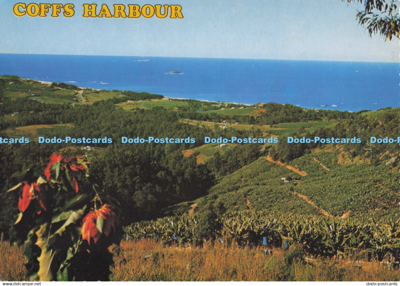 D275045 Coffs Harbour View from Bruxner Park Lookout Road Overlooking Korora Ban