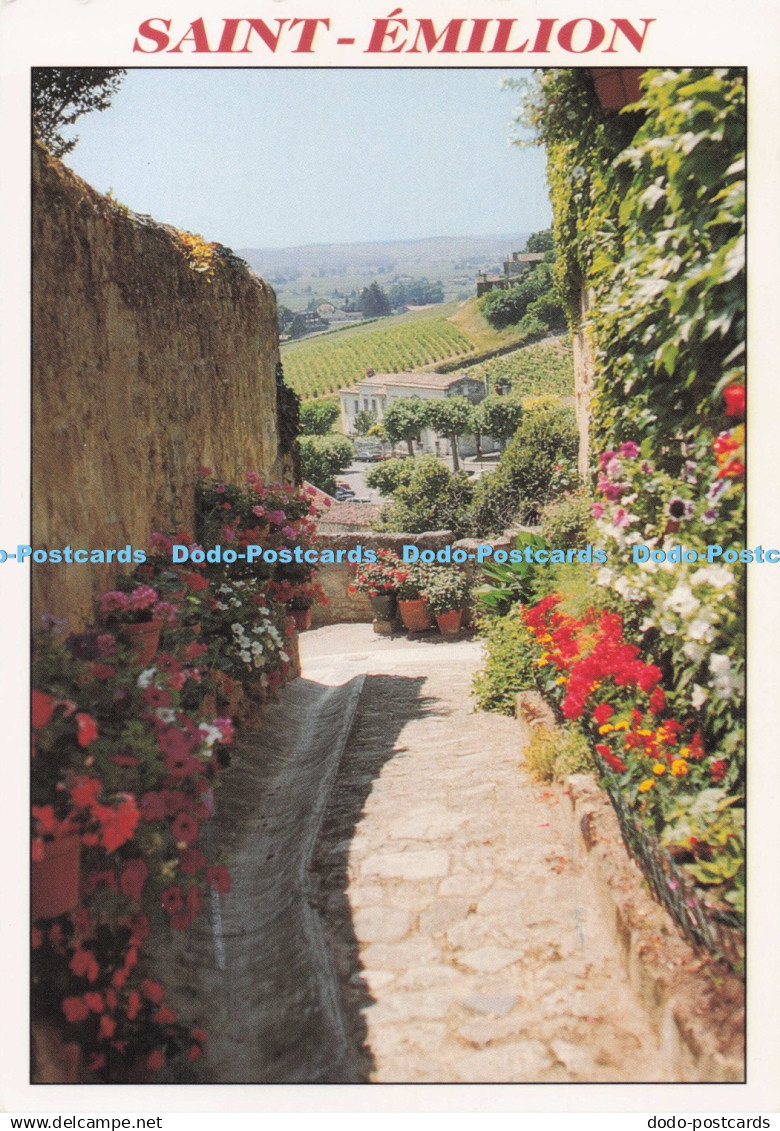 D275163 Saint Emilion Ruelle de Saint Emilion et son Vignoble Artaud Freres