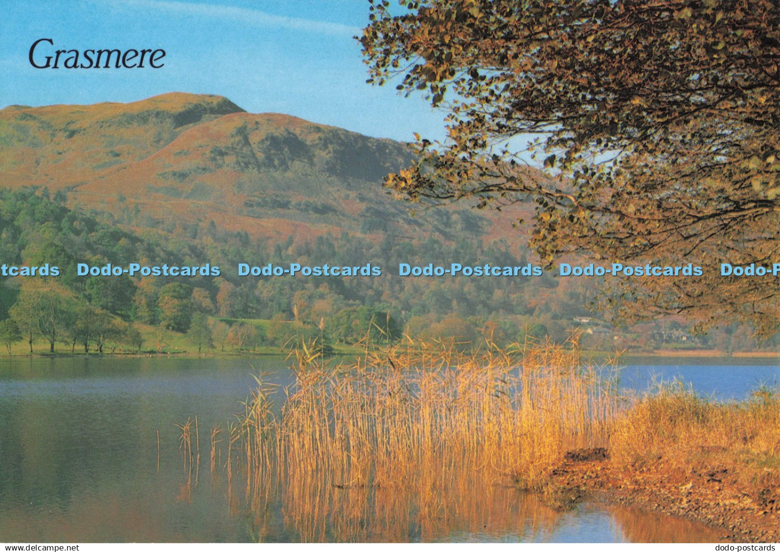 D276379 Grasmere Grasmere and Red Bank J Salmon Ltd Cameracolour