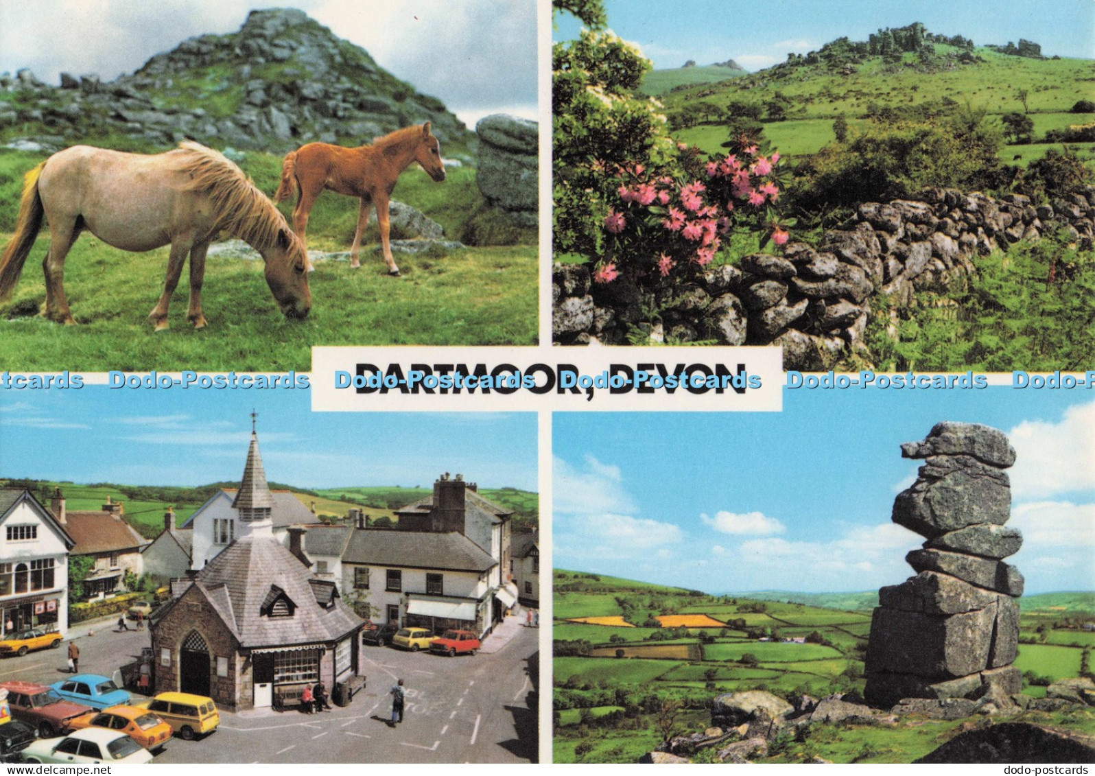 D276541 Dartmoor Devon Dartmoor Ponies John Hinde Multi View