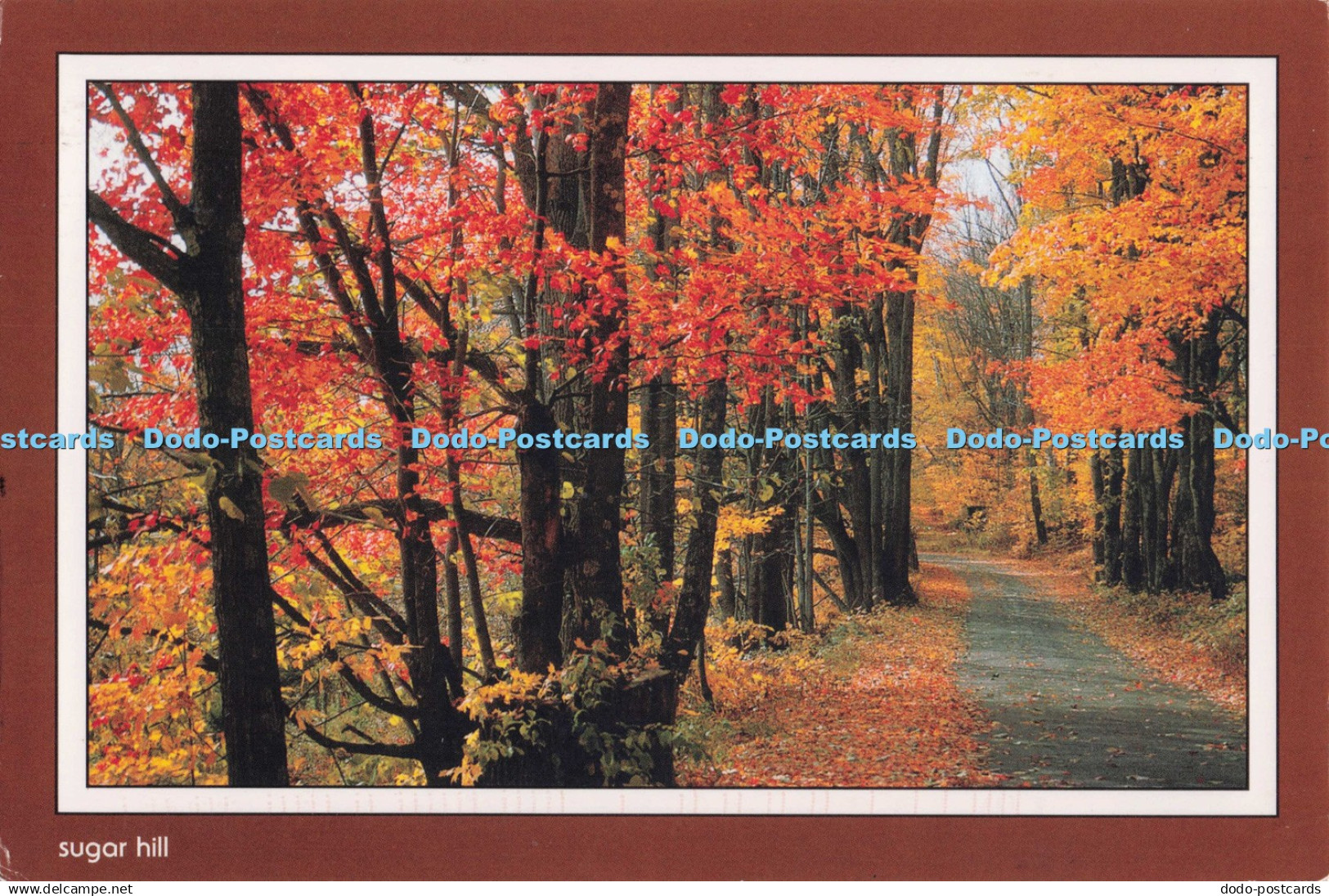 D279126 Sugar Hill Images of the White Mountains New Hampshire Chuck Theodore