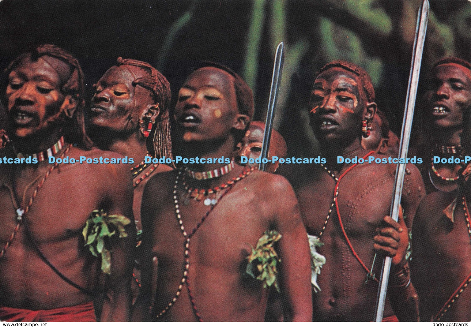 D279969 Kenya Masai Warriors Kenya Stationers Dino Sassi