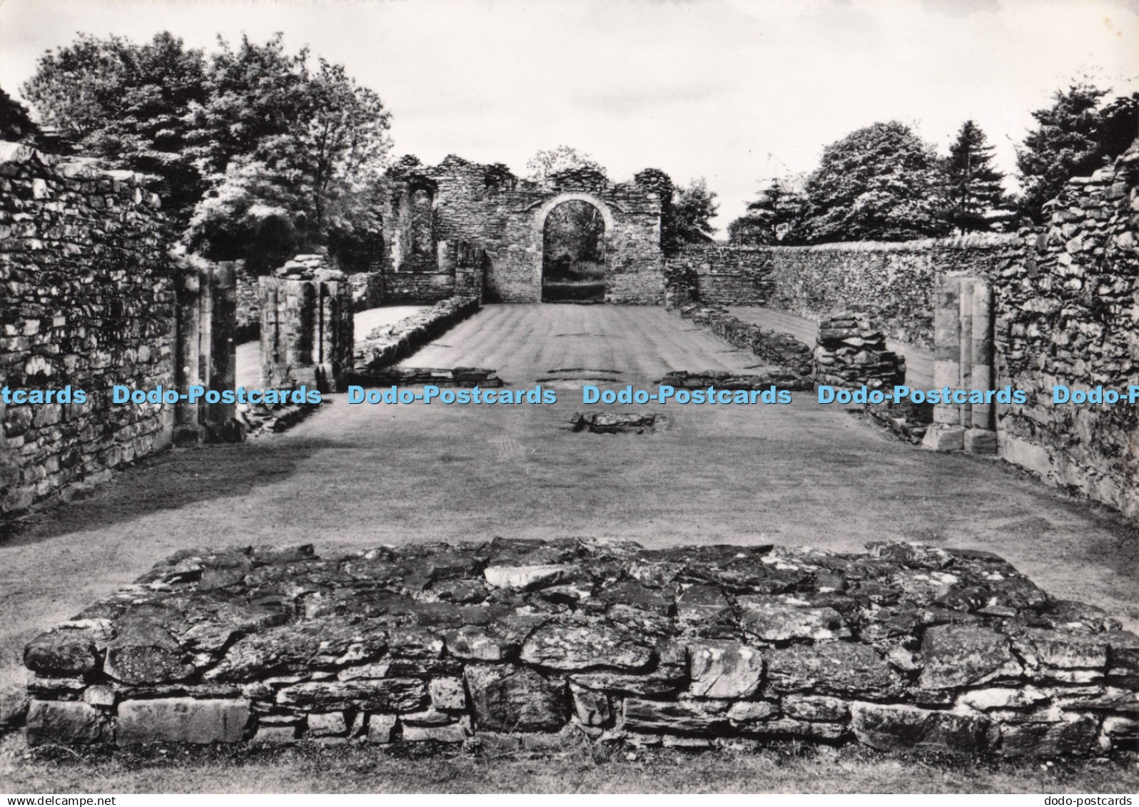D281464 Cardiganshire Strata Florida Abbey The Church Looking West Crown