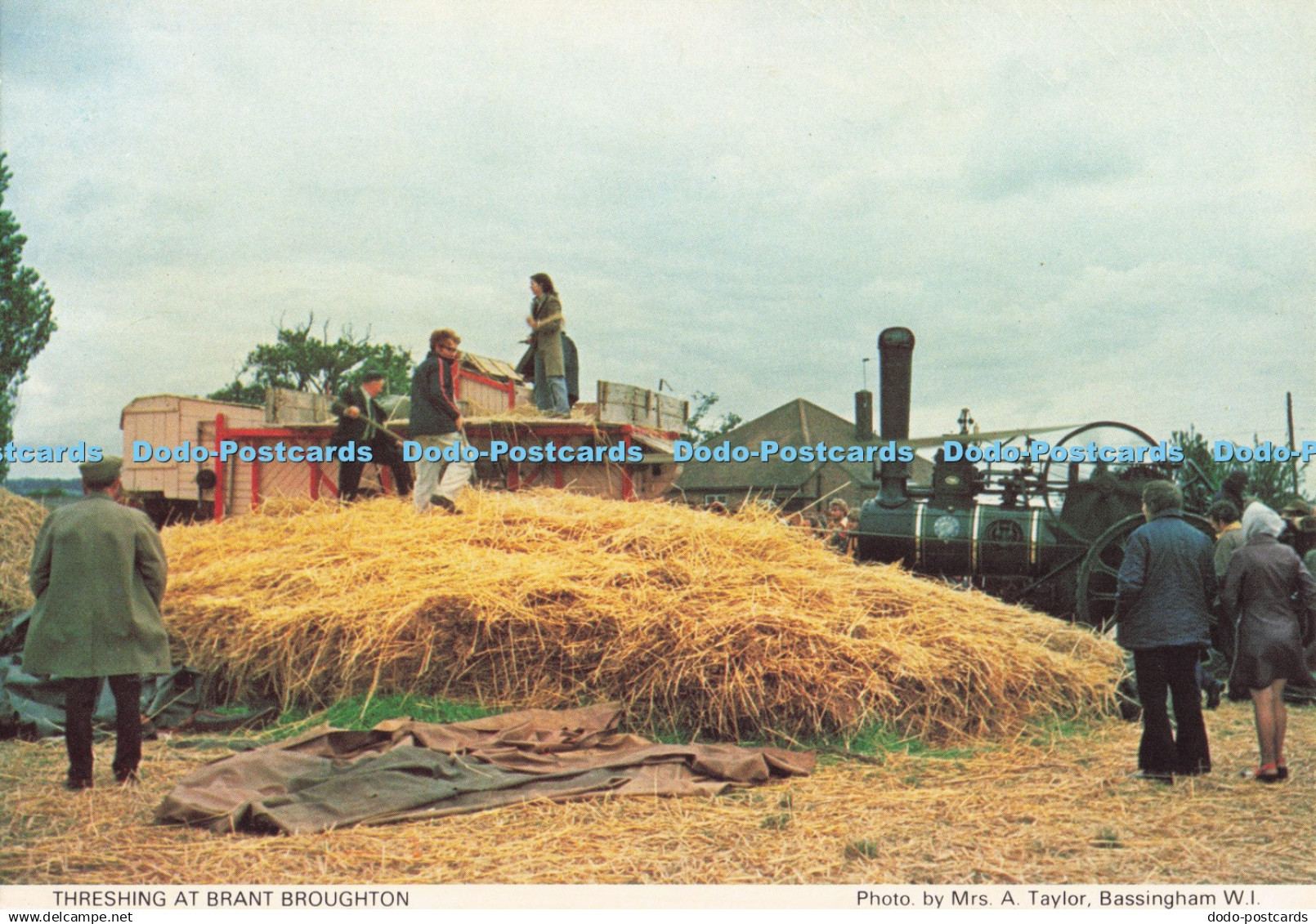 D284581 Threshing at Brant Broughton Lincolnshire North Lincolnshire South and H