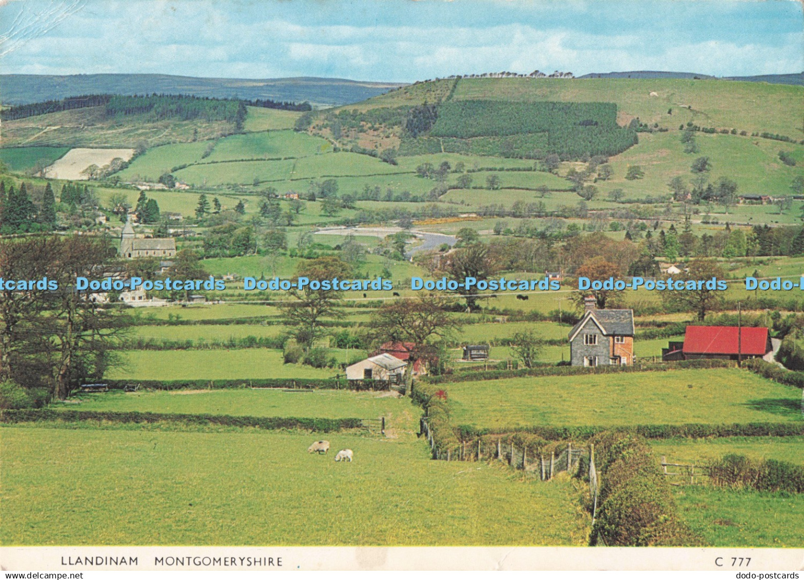 D285612 Llandinam Montgomeryshire Judges Limited C 777 Hastings 1973