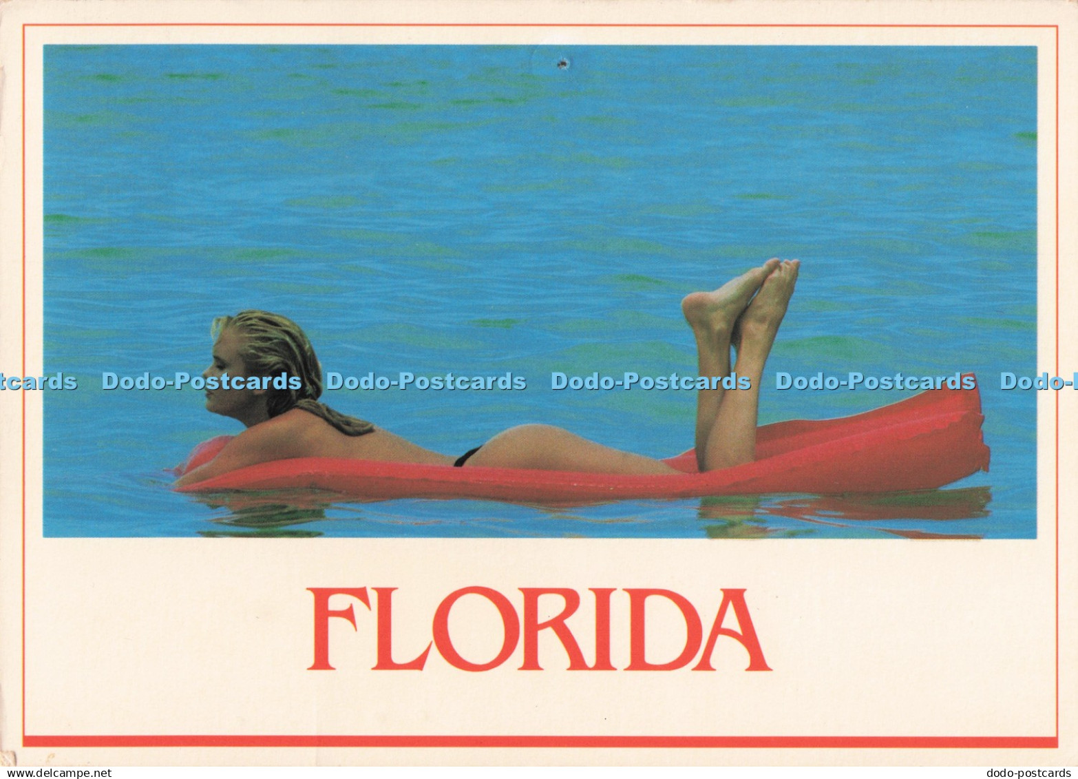 D286166 Florida Just One of Florida Many Attractions PM Orlando FL 1992