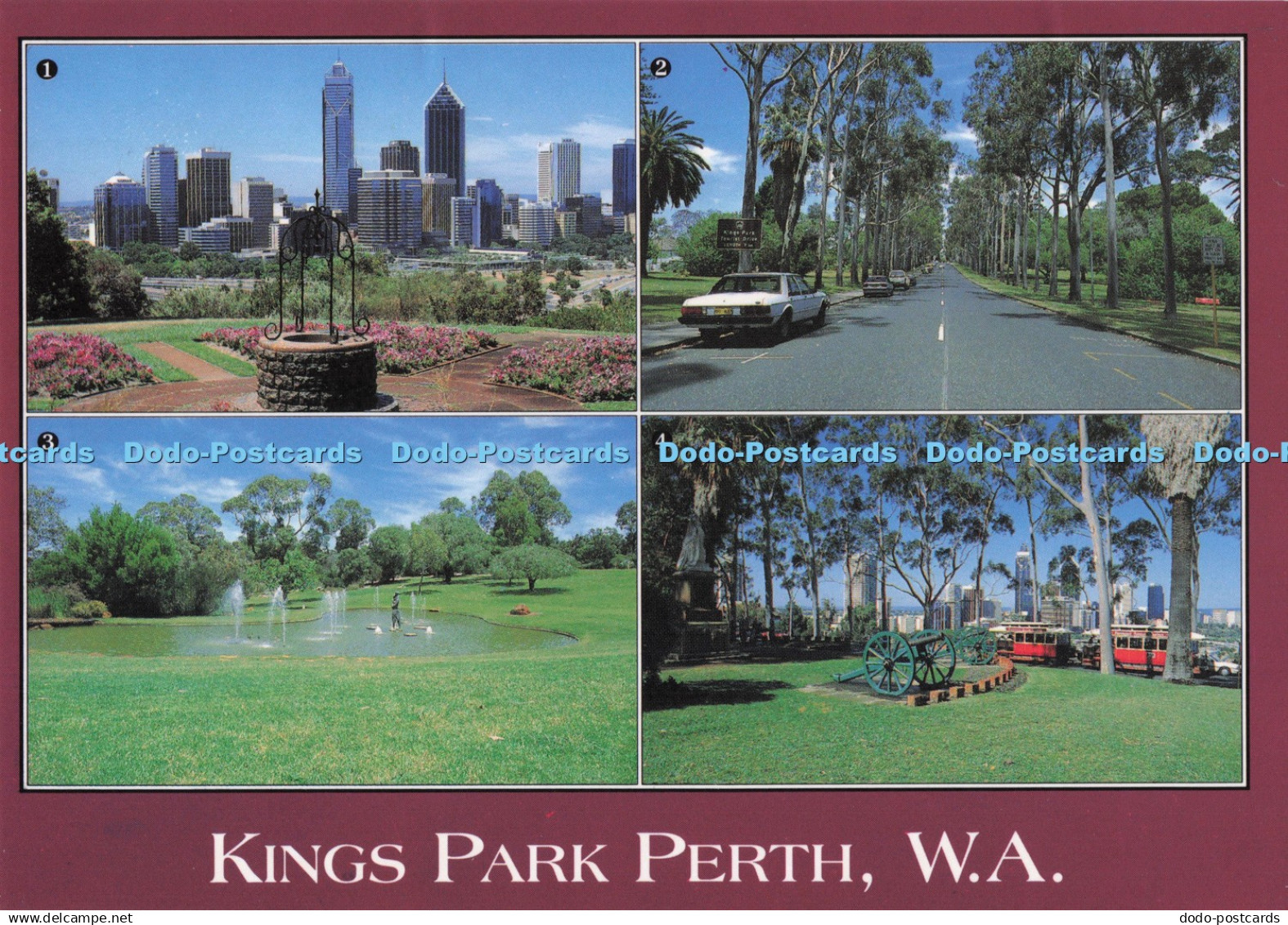 D286210 W A Kings Park Perth Perth Skyline From Kings Park Artique Designs Multi
