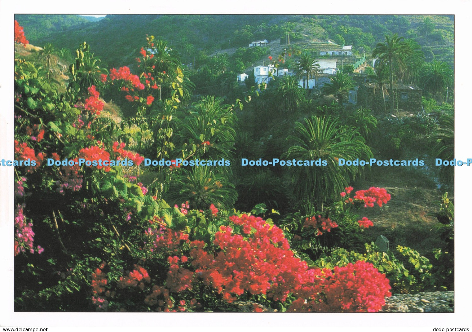 D287314 Vallehermoso La Gomera Andy